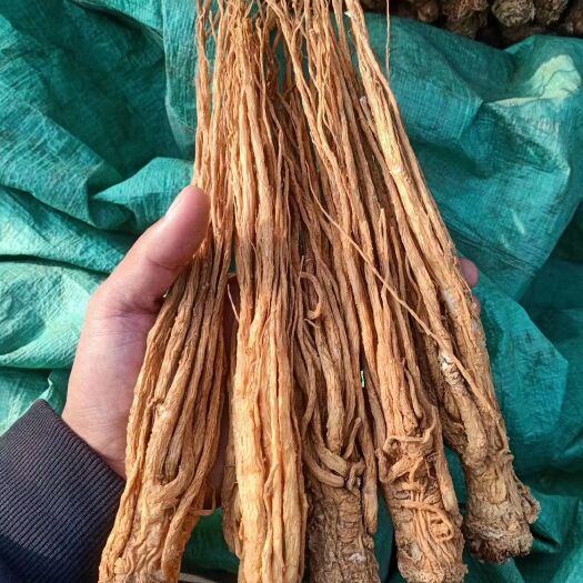 岷县岷当归  【推荐】甘肃岷县有硫黄当归 产地直供 一手货源 全国包邮