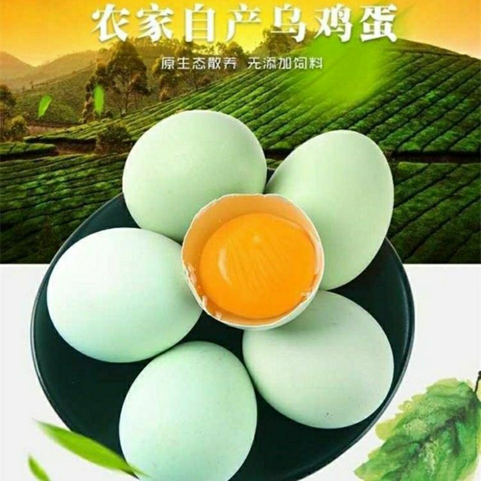 绿壳蛋  五黑乌鸡蛋“鸡蛋中人叁”；个头小营养足，是真正舌尖上的美味