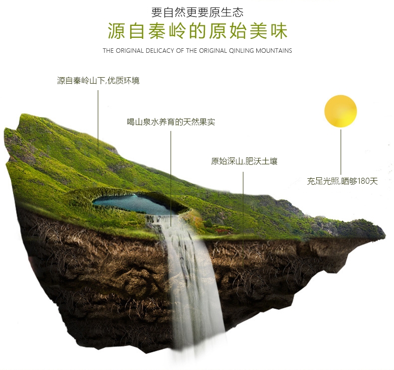 【酸甜黄金比例】眉县徐香绿心猕猴桃新鲜当季水果30枚产地直发