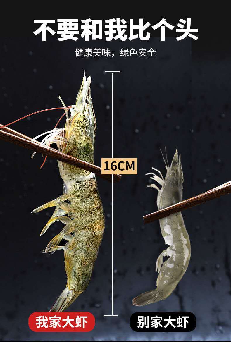 基围虾  刀额新对虾 【包邮】新鲜超大虾鲜活冷冻深海虾青虾整