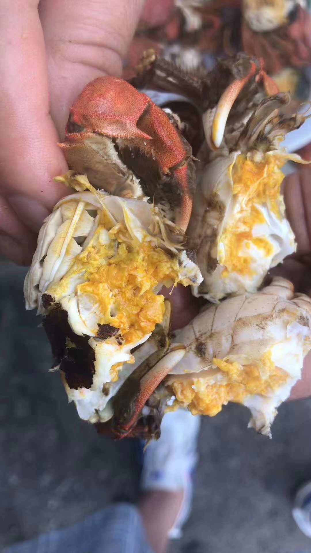 盘锦河蟹 2.0两以下 统货