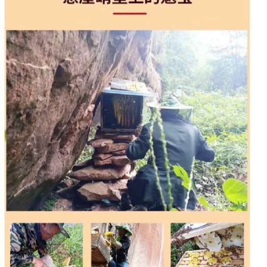 习水县 岩蜂蜜 4A景区架巢 无工业污染