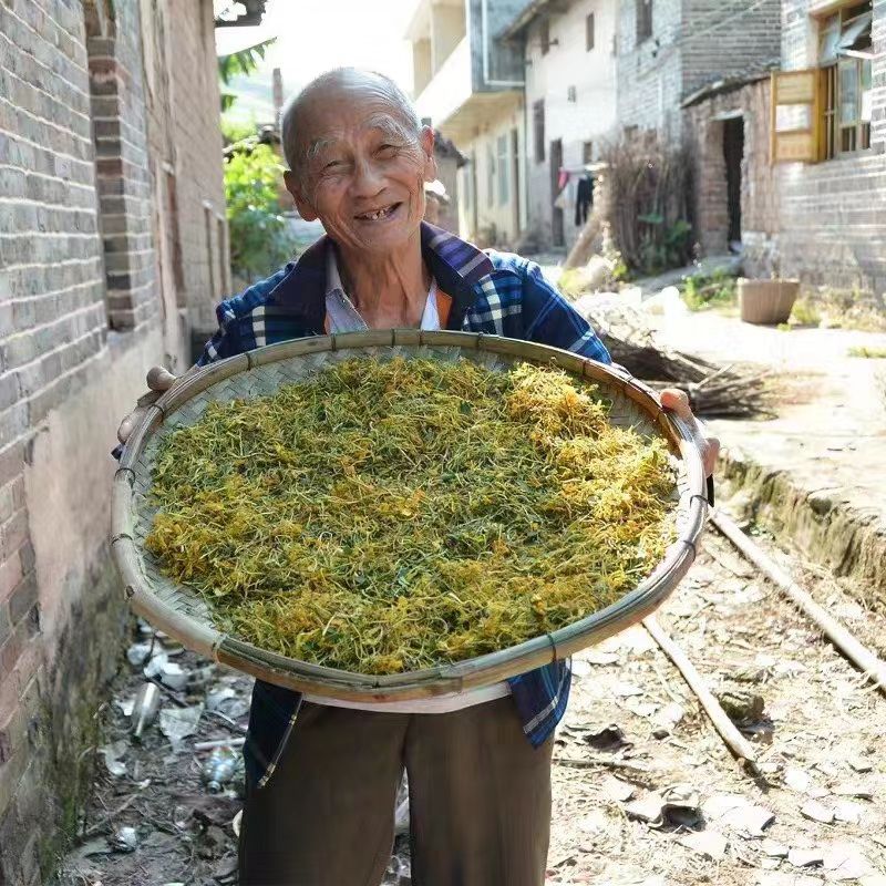 金银花花茶 金银花来泡茶喝，尤其是到了换季