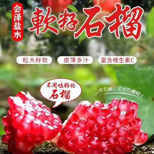 会泽县突尼斯软籽石榴  不用吐籽的石榴云南省会泽县盐水突尼软籽石榴当季孕妇水果中果