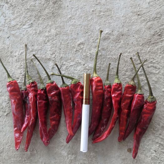天津烘干辣椒王 高辣干椒
