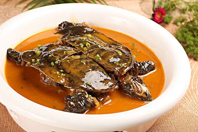 【精品甲鱼】生态老甲鱼长期供应， 大量下单