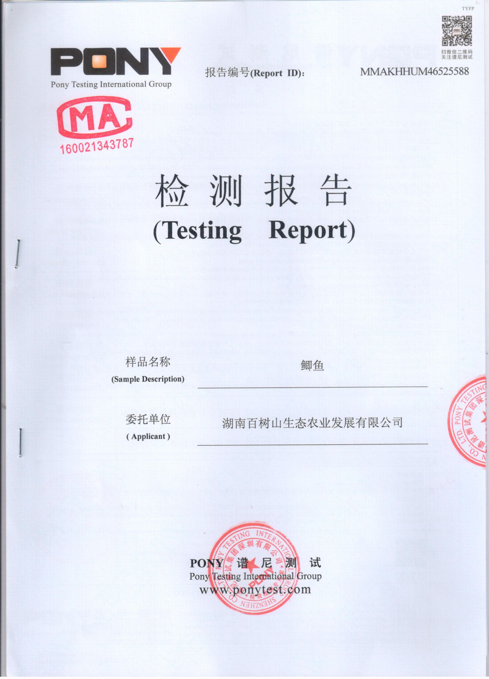 中科三号鲫鱼  鲫鱼