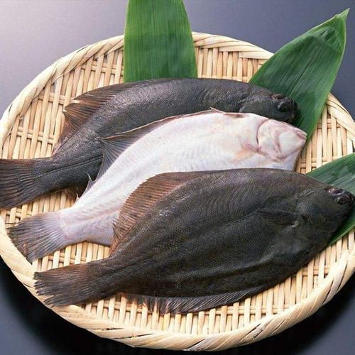 南京 格陵兰整条鲽鱼片鱼比目鱼海鲜深海鲽鱼黄金鲽鱼宝宝辅食