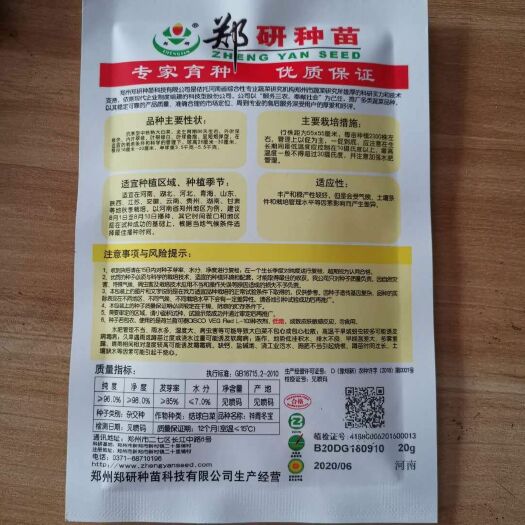 郑州大白菜种子
