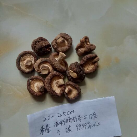 随县香菇片 干香菇