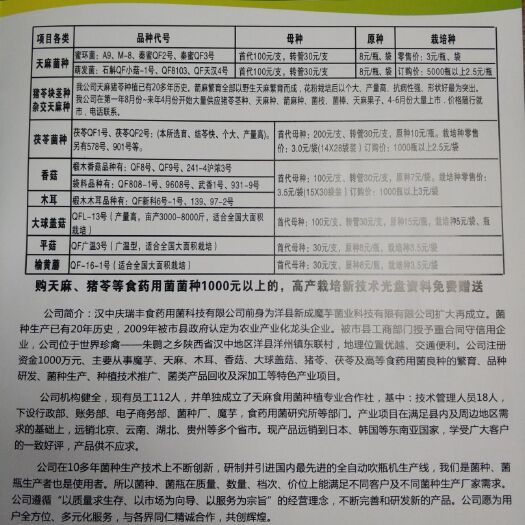 洋县 木耳菌种