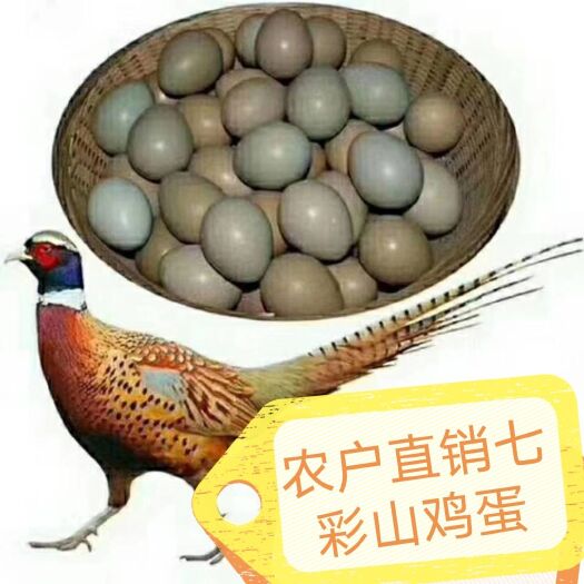 商河县正宗七彩山鸡蛋，保证新鲜，破损包赔