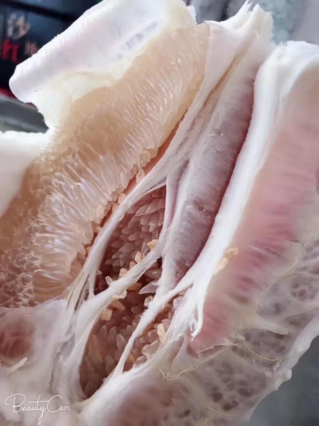 平和正宗 琯溪蜜柚 2粒装白柚