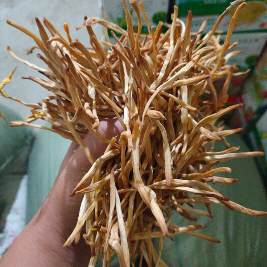 大荔县 天然无公害黄花菜、质美价廉。