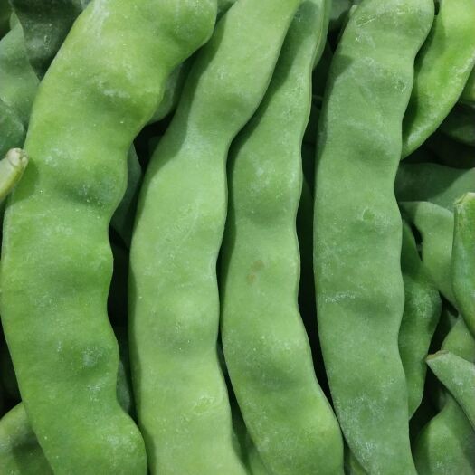 海林市架豆王豆角  速冻豆角
