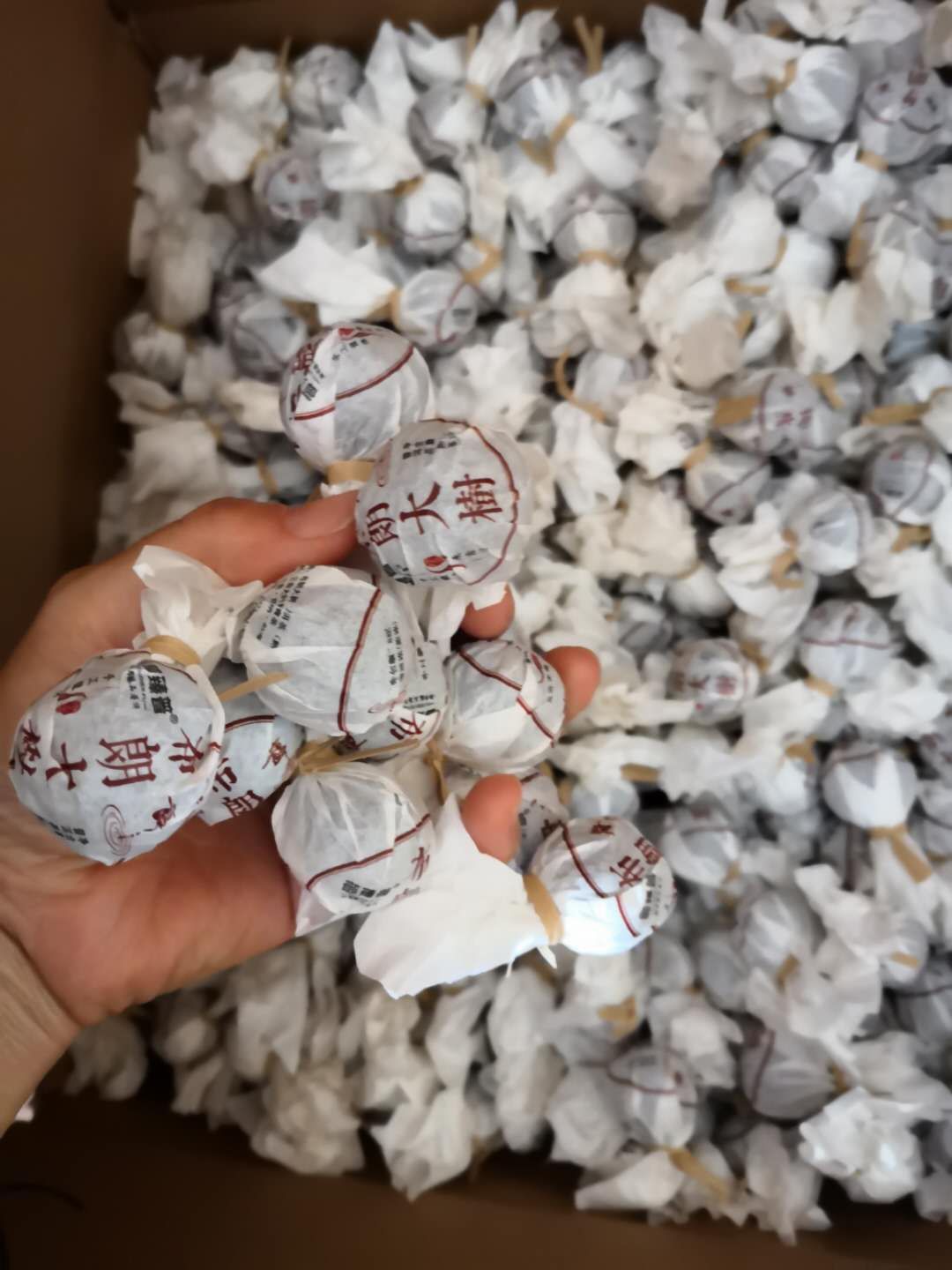  云南省西双版纳勐海县古树龙珠熟普洱茶