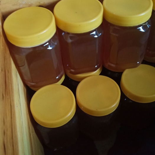 纳雍县土蜂 贵州高山中蜂蜜