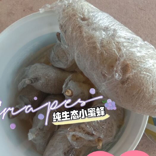 墨江县野生蜂蜜 云南墨江县鱼塘镇花山村土特产天然小蜜蜂来自山林里香甜可口