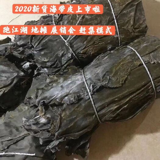成都山东海带