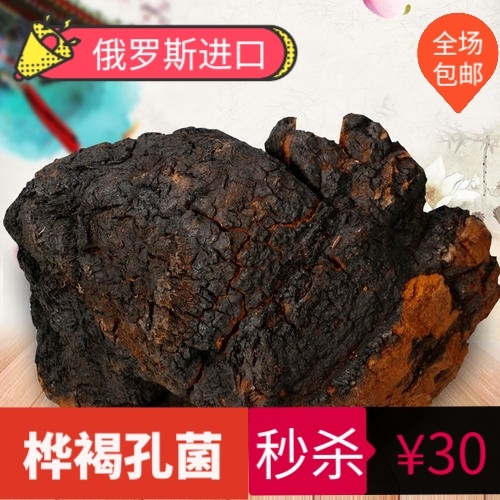 抚松县桦树茸桦褐孔菌正品天然胰岛素黑金颗粒泡水桦树茸免费打粉桦树茸