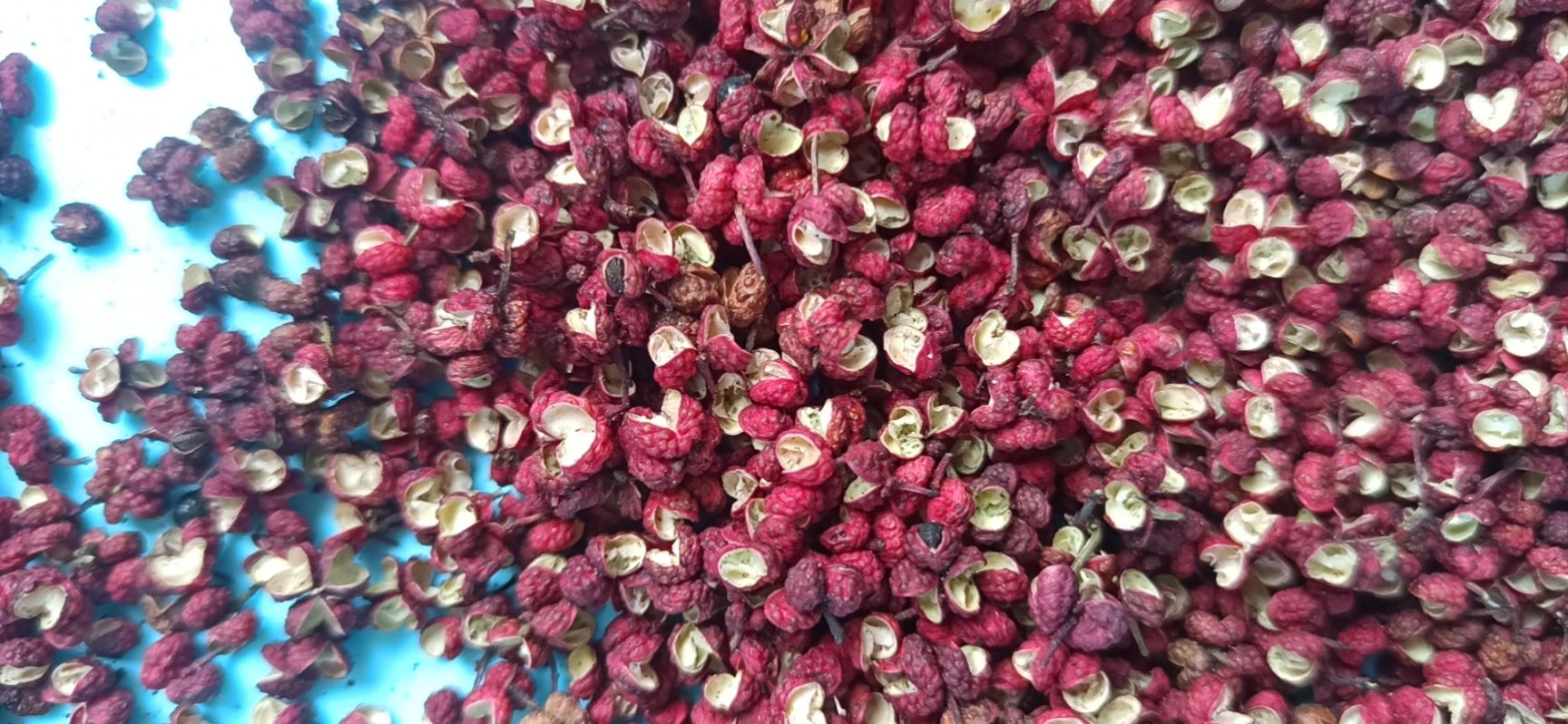 大红袍花椒  2022汉源贡椒，红花椒，特麻，包邮，送密封袋
