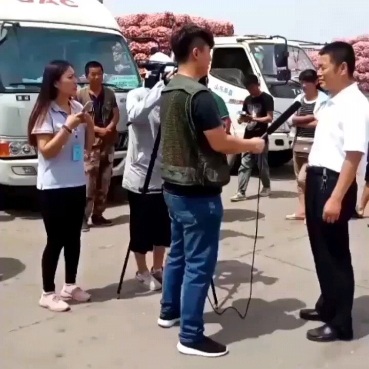 红皮蒜 山东省济宁市金乡县 混级统货 新蒜 库外蒜 鲜蒜