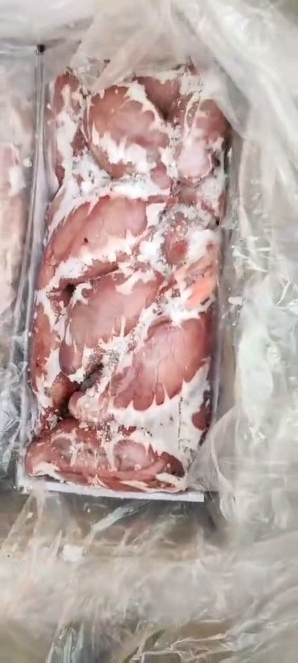  绵羊羊宝，大羊的  一斤3个左右