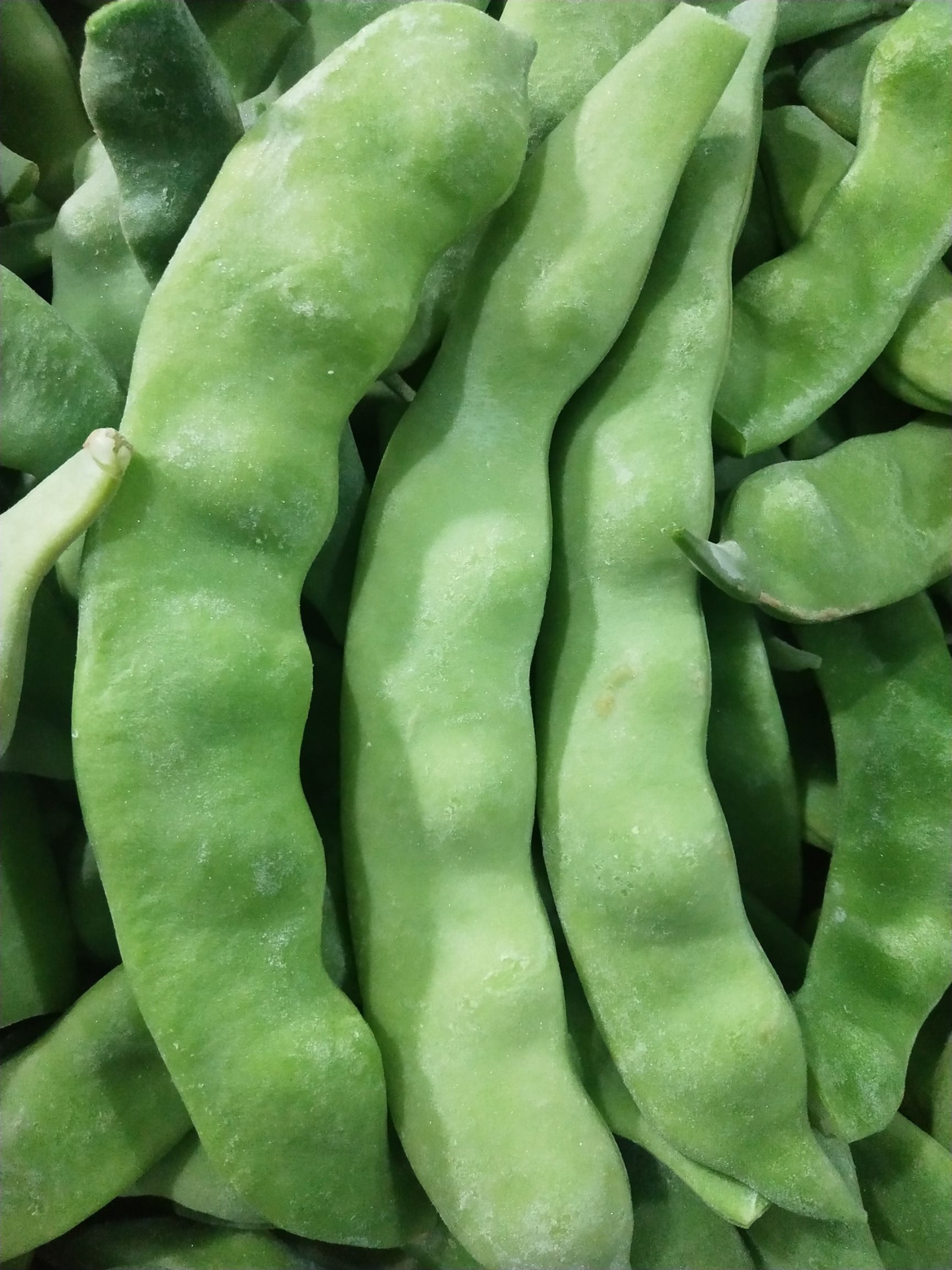 架豆王豆角  速冻豆角