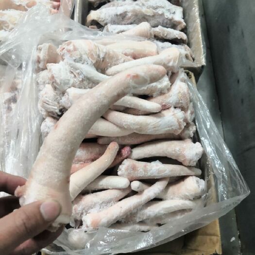 南京 猪尾巴 新鲜冷冻 猪尾巴中尾整根农家散养土猪肉现杀生鲜全国包