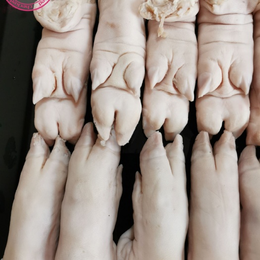 带筋猪手（寸蹄），干净无毛，大小均匀，28-30个/