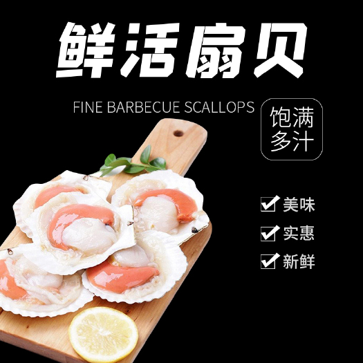 长海县 大连特产虾夷贝新鲜活超大扇贝海鲜水产核酸检疫安全