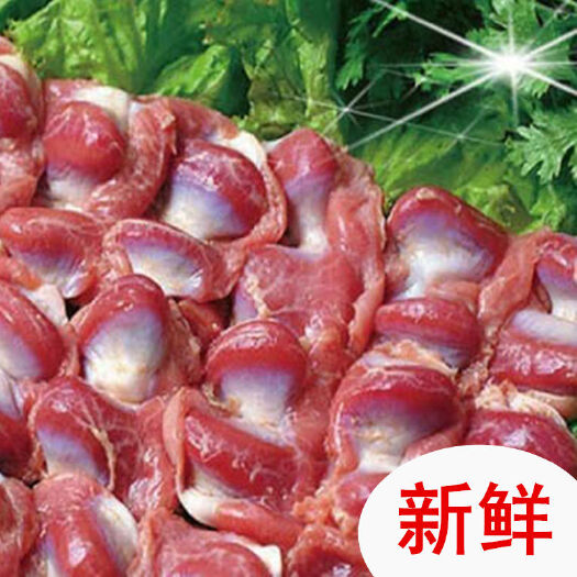 莘县鸡胗 干净 无水 无肚 肉质鲜美 高品质。