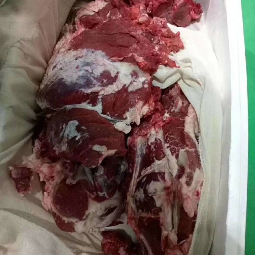 牛肉类  兆达畜产品公司批发国产纯干冷鲜牛肉