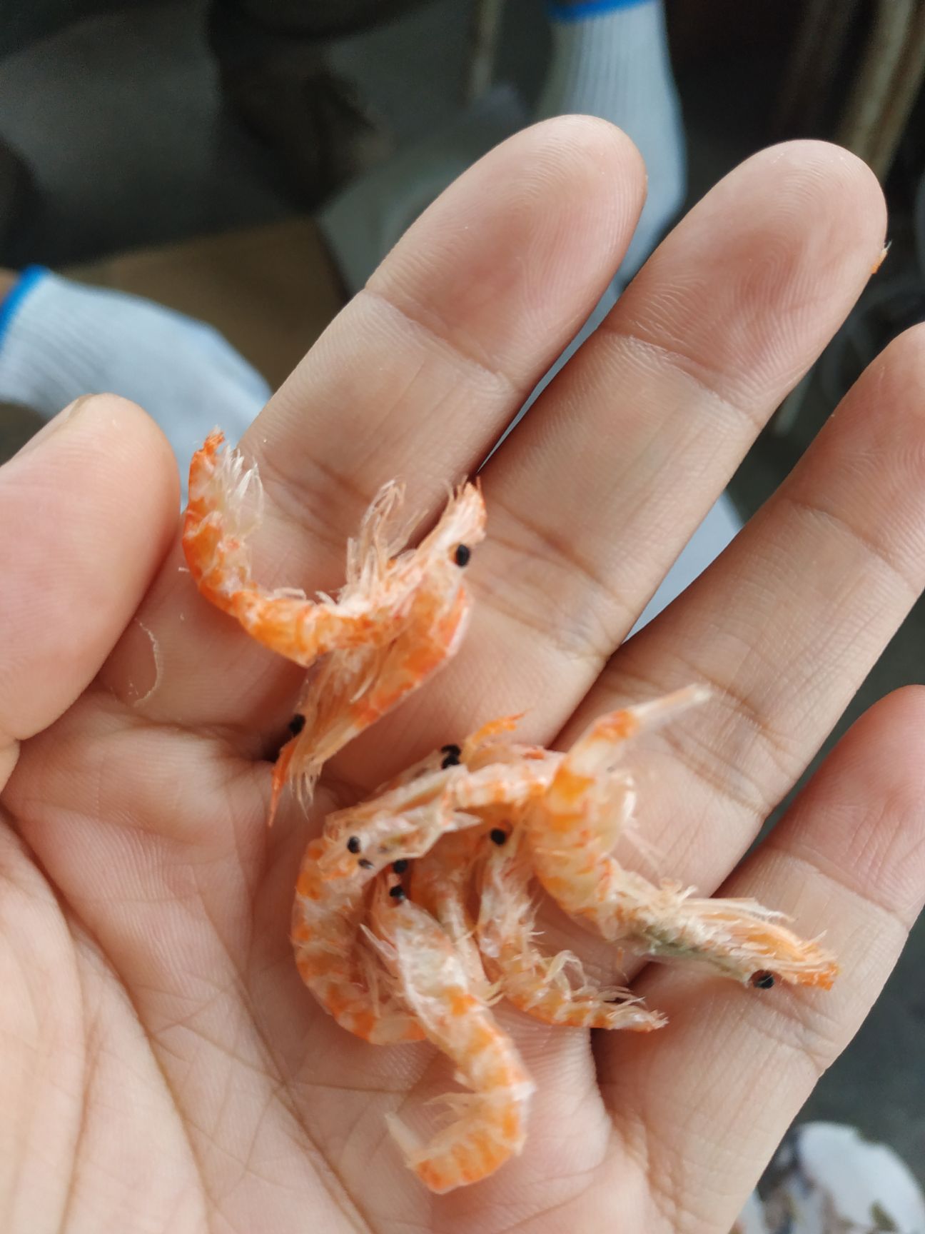 即食虾干1 即食虾干  鳞虾软壳虾干仔芜杂质散装称重可直接食用烹饪蒸蛋炒菜配材