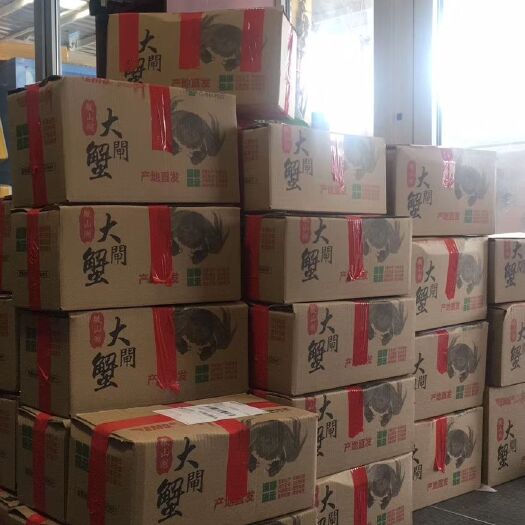 微山县微山湖大闸蟹 螃蟹大量上市，承接公司福利，社区团购，批发零售，可一件代发