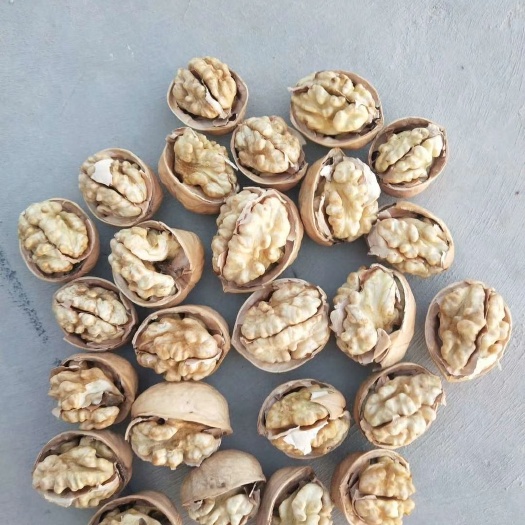阿瓦提县 自产自销新疆纸皮核桃185