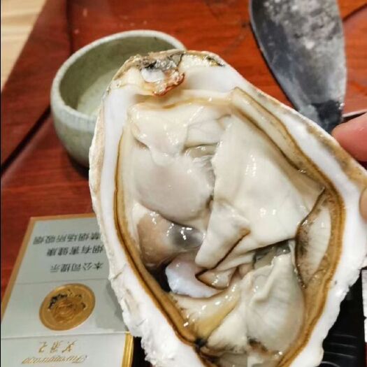 诏安县福建三倍体生蚝，高端食材