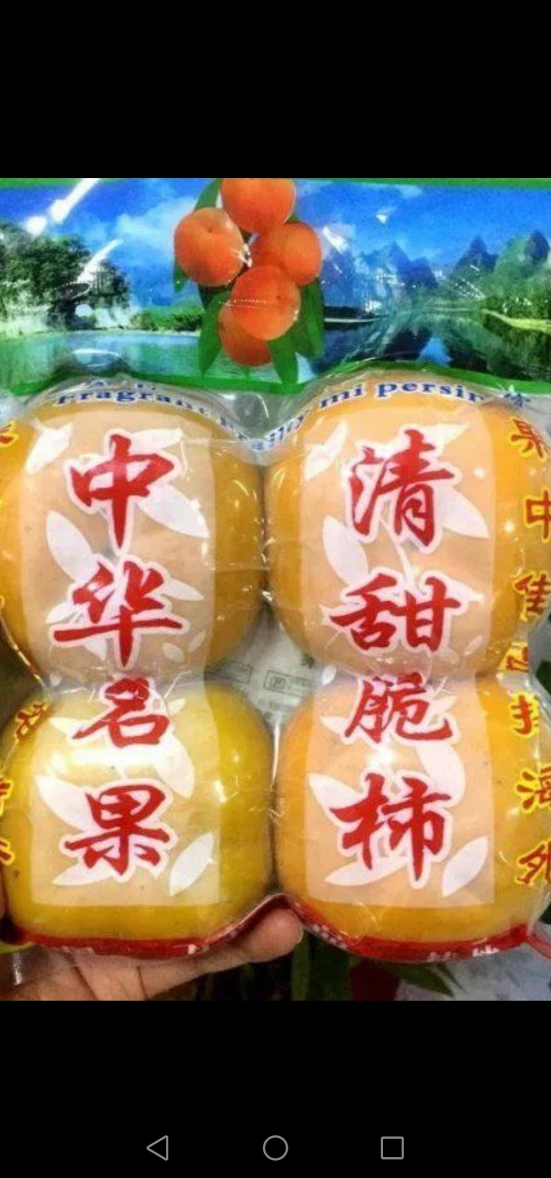 柿子  广西恭城红柿脆柿产地直供