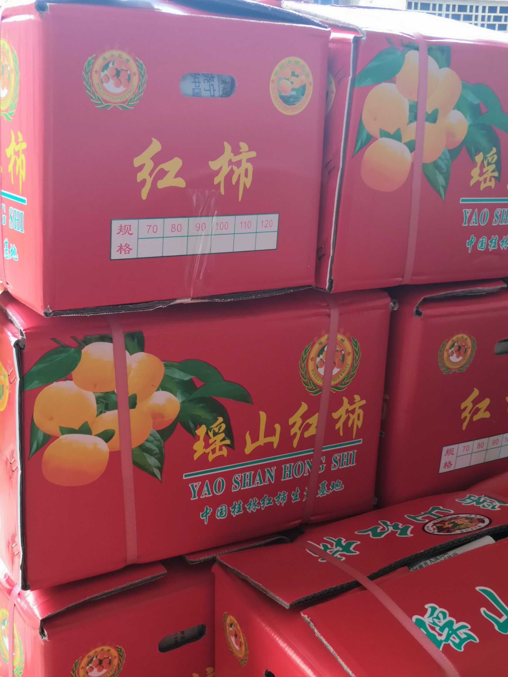 柿子  广西恭城红柿脆柿产地直供