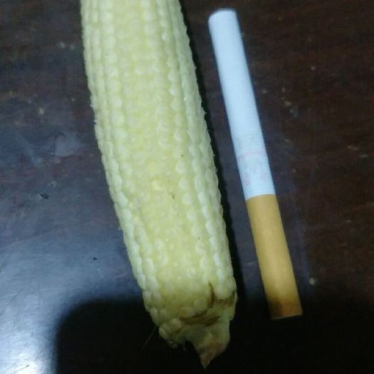 水果玉米 甜 带壳