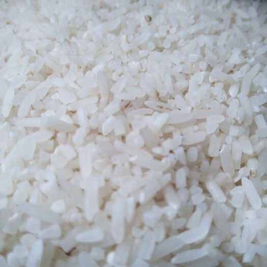 耒阳市天隆一号大米 一等品 一季稻 粳米
