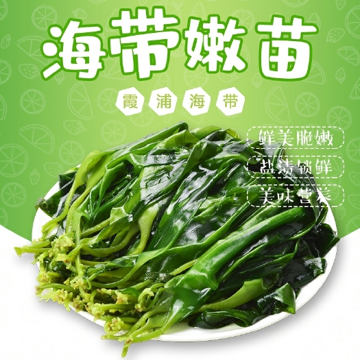 霞浦县霞浦海带苗厂家批发 霞浦特产 火锅菜 餐饮店火锅店必点