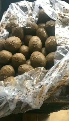 安新县白洋淀咸鸭蛋 礼盒装