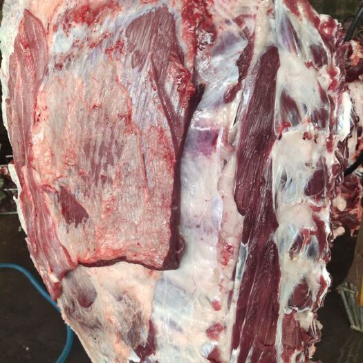 阳信县批发国产纯干多肉冷鲜牛排