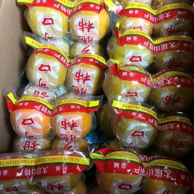 柿子  广西恭城红柿脆柿产地直供