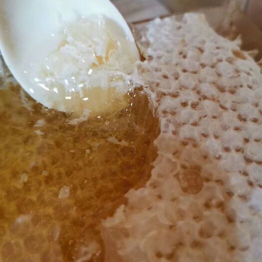 秭归县湖北宜昌三峡秭归天然原装蜂巢蜜