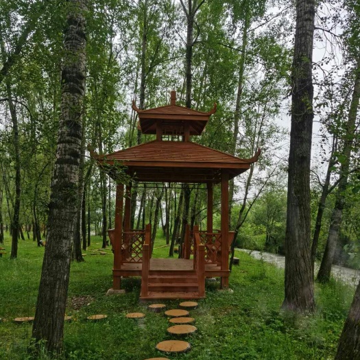 丹阳市生态园林  浩轩园林景观四角亭中亭