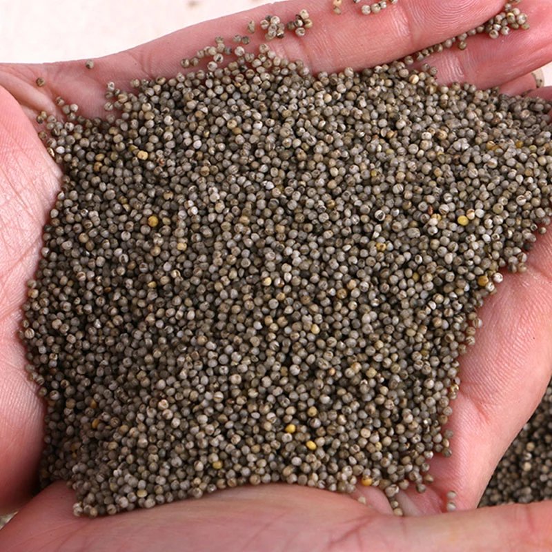 黑小米  品质鉴定一切，让口碑与品质证明