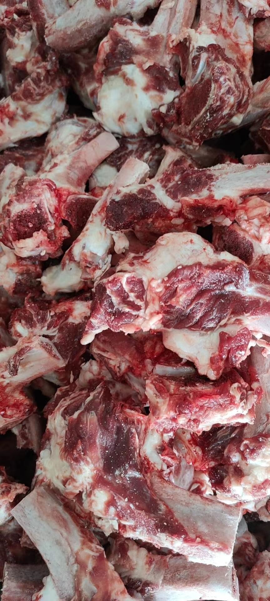 牛骨  国产纯干带肉牛肋条头，