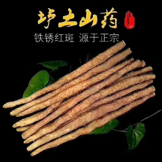 温县净重五斤包邮卢土铁棍山药，铁棍山药卢土铁棍山药，自家种植。
